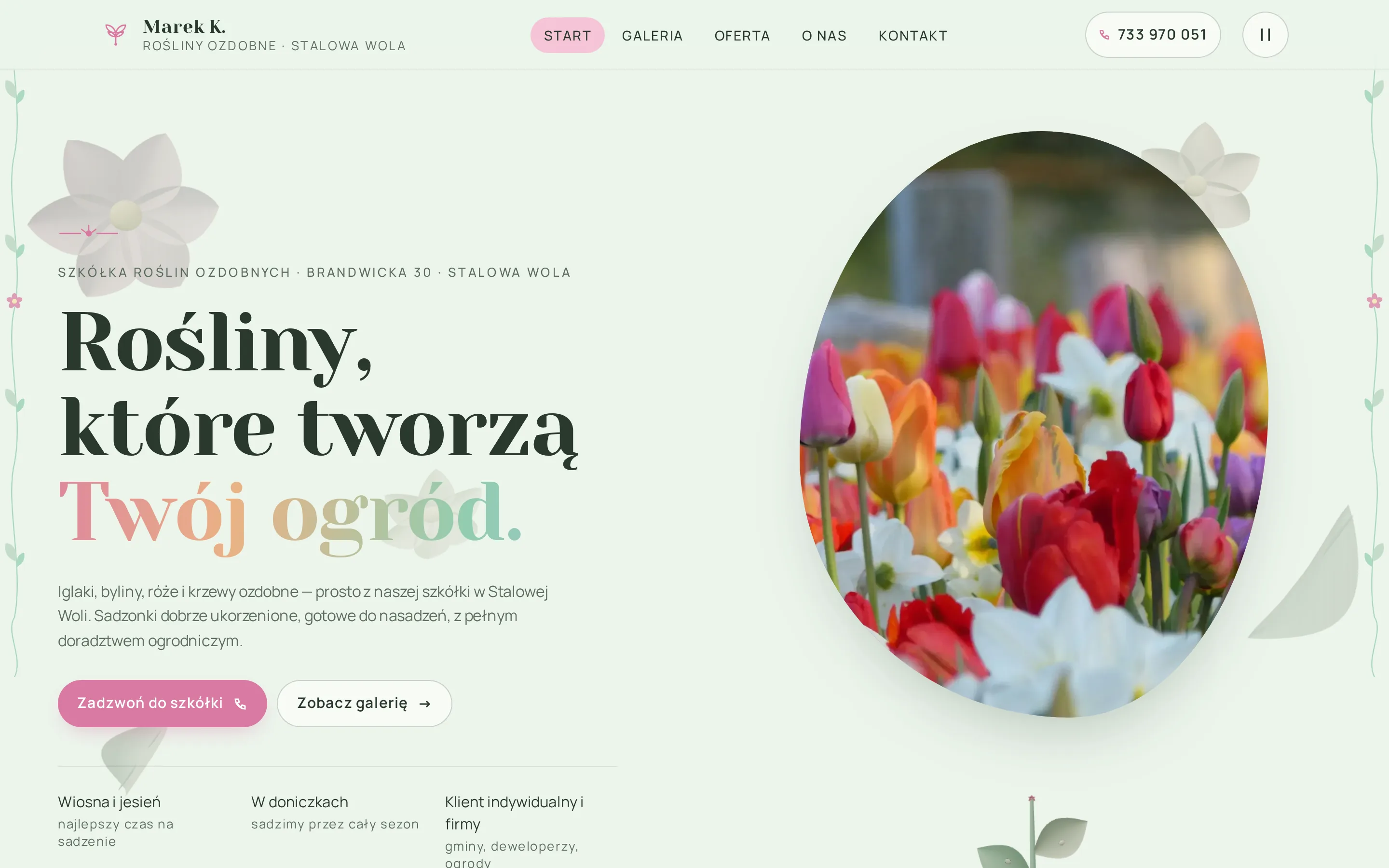 Strona Marek K. Rośliny Ozdobne